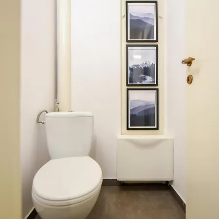 Apartment Chic Near Universitate Square - Your Ideal In